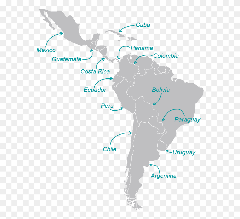 586x706 Descargar Png / Virus Zika Mexico 2018, Mapa, Diagrama Hd Png