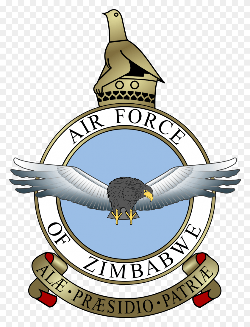 1199x1597 Descargar Png / Emblema De La Fuerza Aérea De Zimbabwe Png
