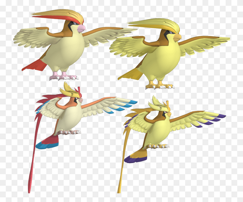 751x636 Zip Archive Mega Pidgeot X And Y, Bird, Animal, Flying HD PNG Download