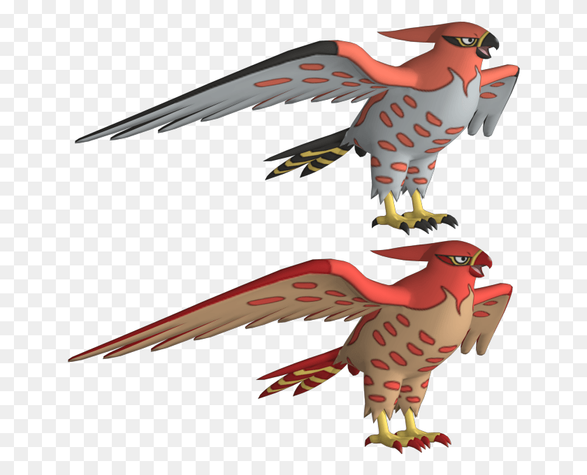 648x620 Zip Archive Red Tailed Hawk Pokemon, Eagle, Bird, Animal HD PNG Download