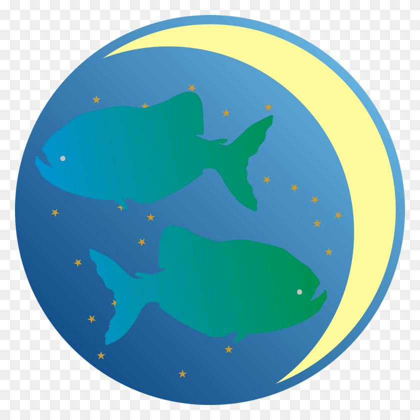 1280x1280 Zodiac Pisces Pisces, Sphere, Nature, Outdoors HD PNG Download