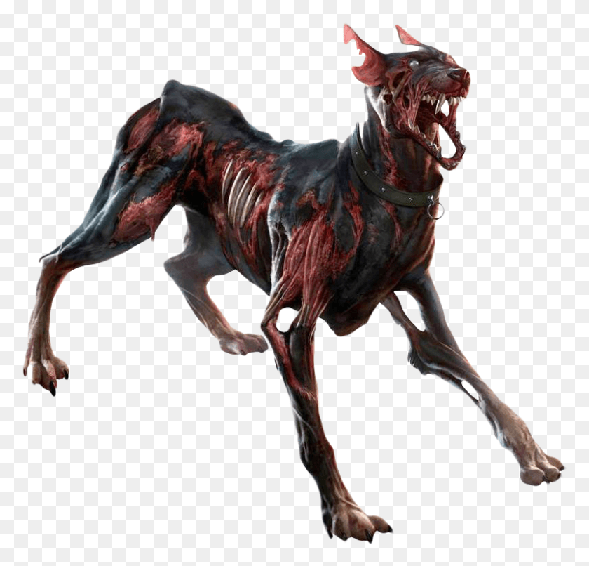 801x767 Zombie Dog Transparent Image Zombie Dog Zombie Dog Transparent, Horse, Mammal, Animal HD PNG Download