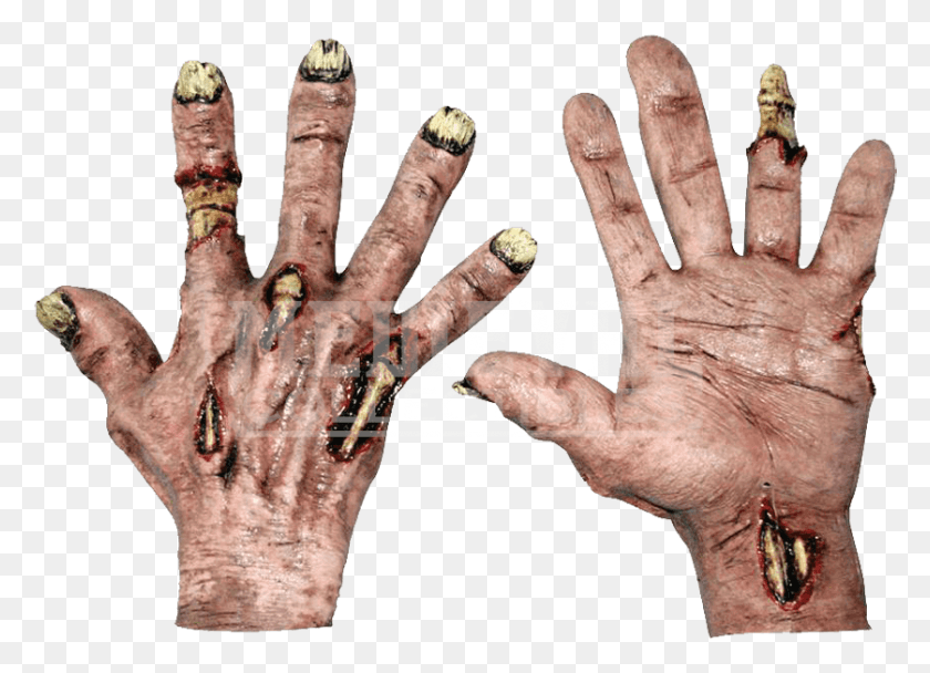 838x589 Zombie Flesh Hands Realistic Zombie Hand, Finger, Person, Human HD PNG Download