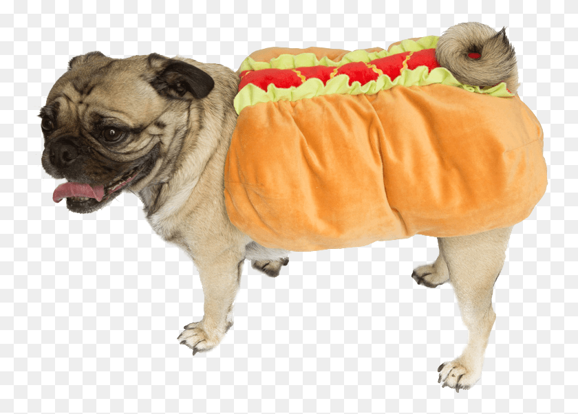755x542 Zombie Hot Dog Costume Fancy Dress Ball Dog Beds And Pug In Hot Dog Costume, Pet, Canine, Animal HD PNG Download