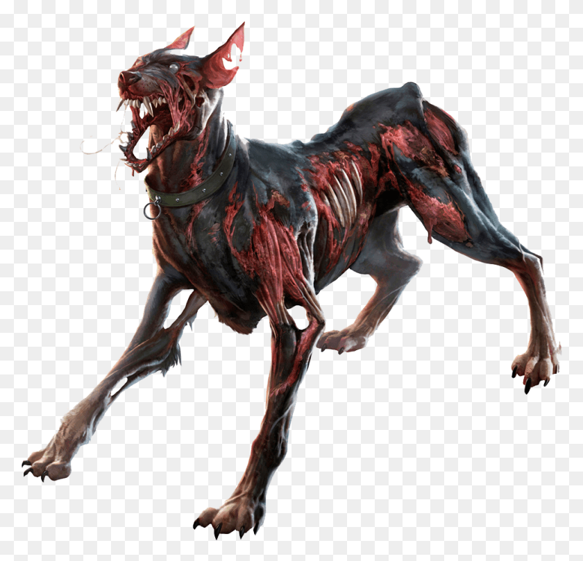 961x924 Zombie Picture Zombie, Mammal, Animal, Horse HD PNG Download