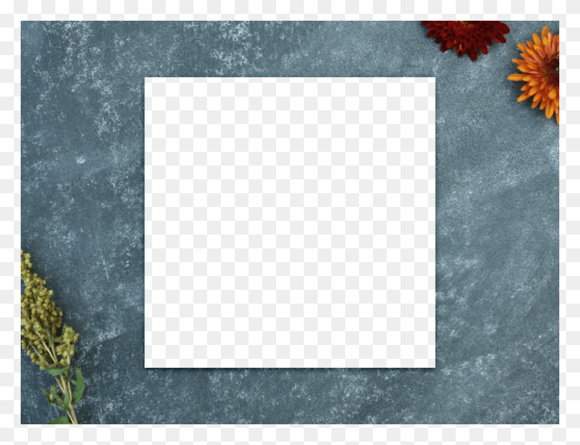 800x600 Descargar Png Zoom Chrysanths, Papel, Texto, Alfombra Hd Png