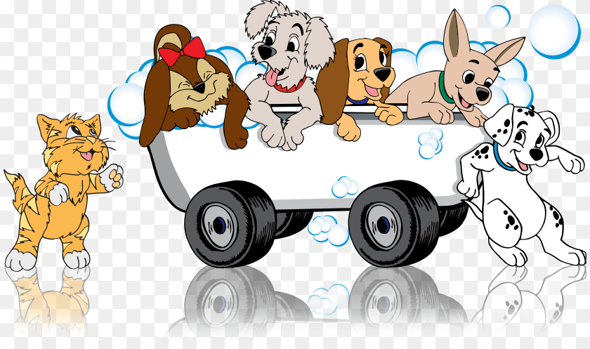 830x497 Zoom To Groom Mobile Pet Grooming Mobile Pet Grooming, Book, Comics, Publication, Face Transparent PNG