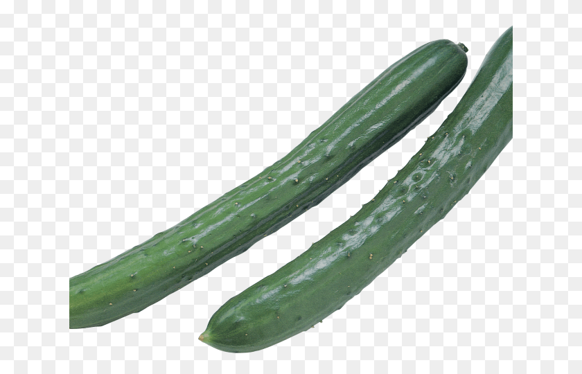 640x480 Zucchini Clipart Pipino Cucumber, Plant, Vegetable, Food HD PNG Download