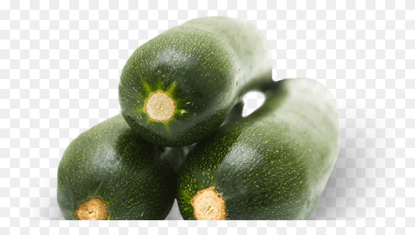 758x416 Zucchini Gem Squash, Plant, Produce, Vegetable HD PNG Download