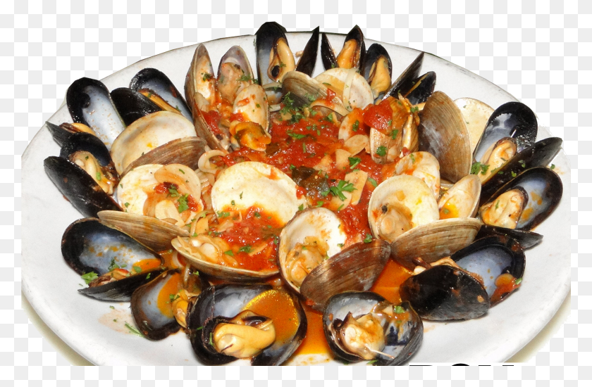2551x1605 Zuppa Di Mussels Amp Clams Side Dish HD PNG Download