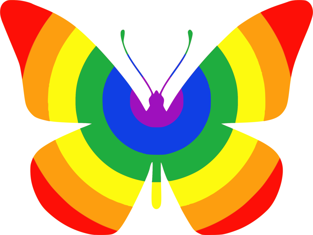 1001x750 Butterfly Png Clipart